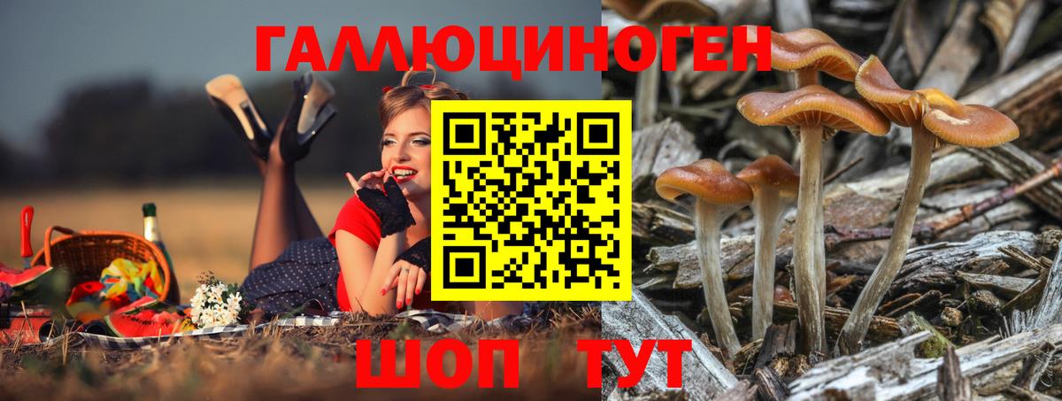 Псилоцибиновые грибы MAGIC MUSHROOMS Россошь